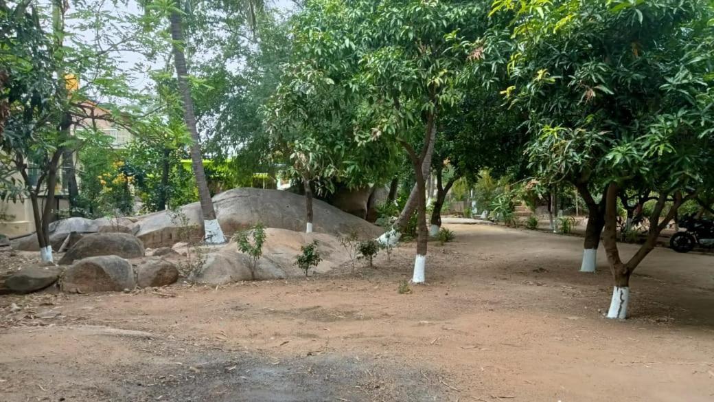 Shankar Homestay Hampi Exterior foto